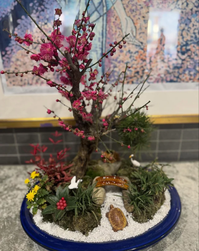 .
.

紅梅咲きました🌸

冬の寒さの中、先日まで蕾だった紅梅が開花しました。

ひと足早い春の香りが届きました😊

#紅梅
#寄せ植え